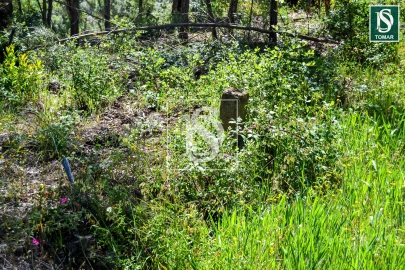 Moradia T3 para Venda em Serra e Junceira