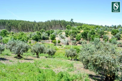 Moradia T3 para Venda em Serra e Junceira