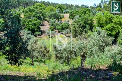 Moradia T3 para Venda em Serra e Junceira