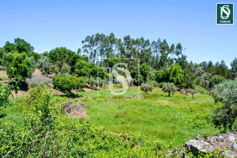 Moradia T3 para Venda em Serra e Junceira Foto 16