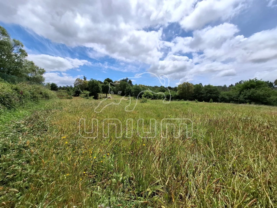 Terreno para Venda em Montaria Foto 1