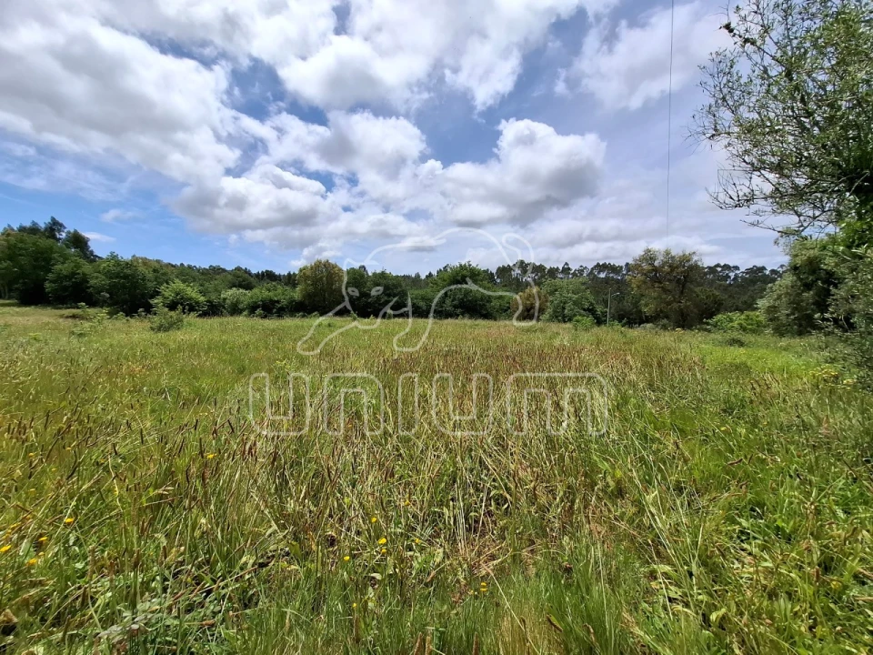 Terreno para Venda em Montaria Foto 2