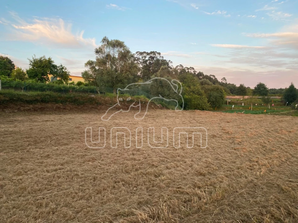 Terreno para Venda em Montaria Foto 1