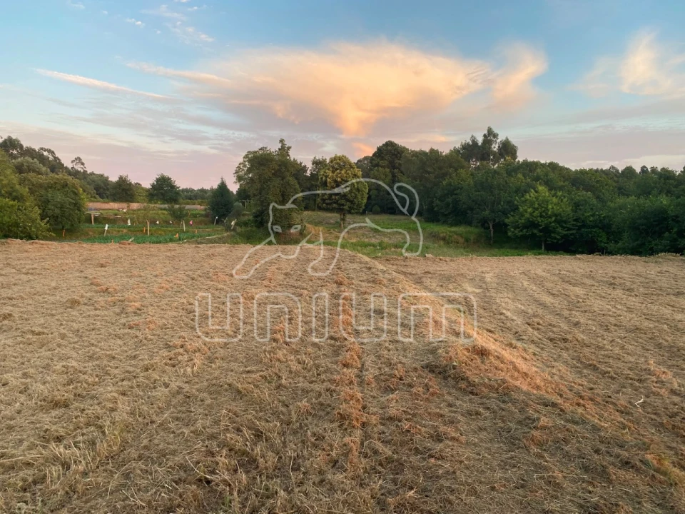 Terreno para Venda em Montaria Foto 2