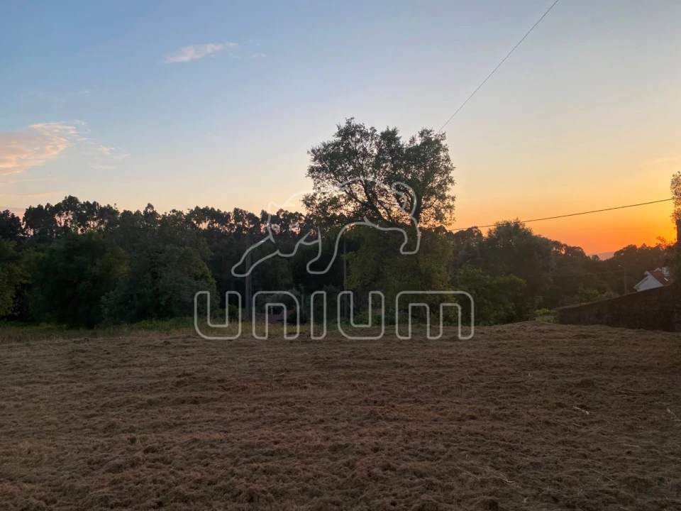Terreno para Venda em Montaria Foto 4