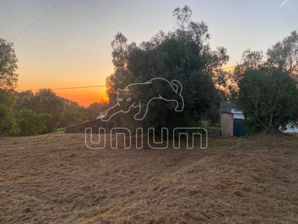 Terreno para Venda em Montaria Foto 5