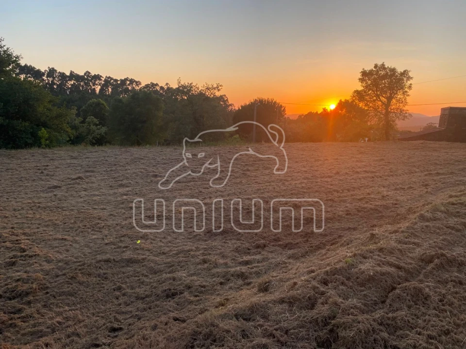 Terreno para Venda em Montaria Foto 6