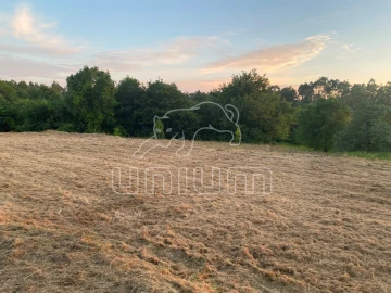 Terreno para Venda em Montaria