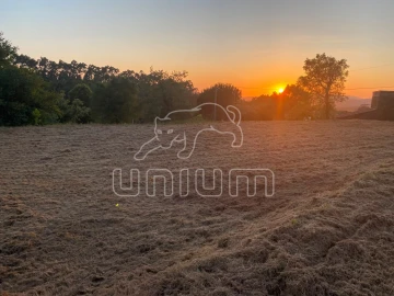 Terreno para Venda em Montaria