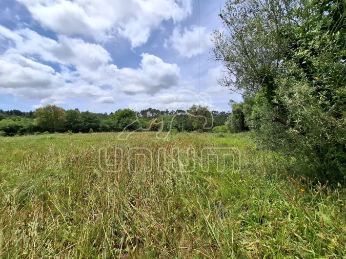 Terreno para Venda em Montaria Foto 3