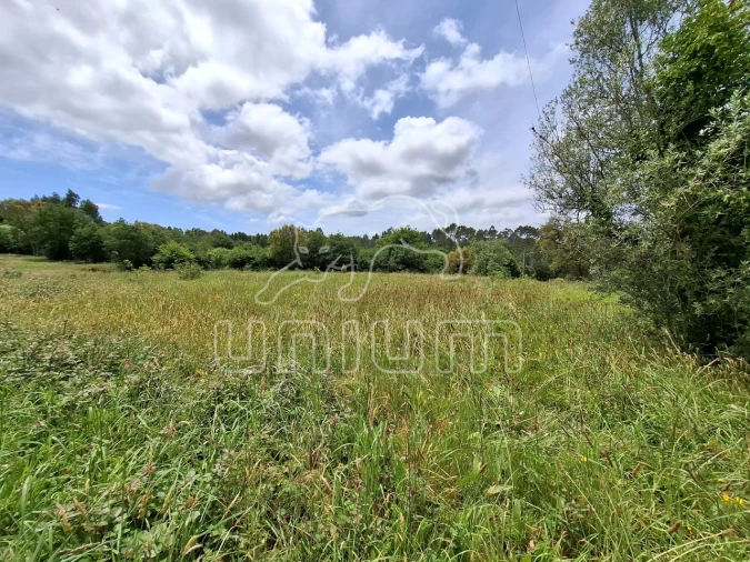 Terreno para Venda em Montaria Foto 4