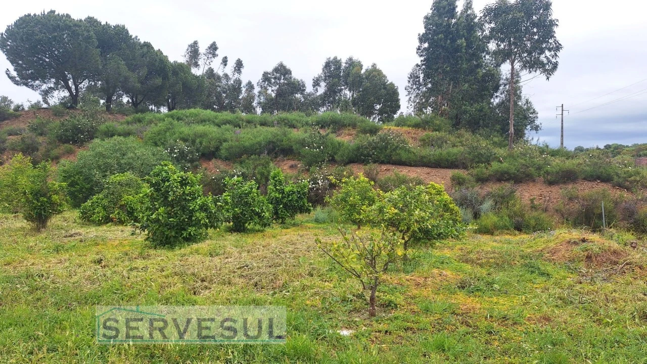 Terreno Agricola ou Rústico para Venda em Silves Foto 2