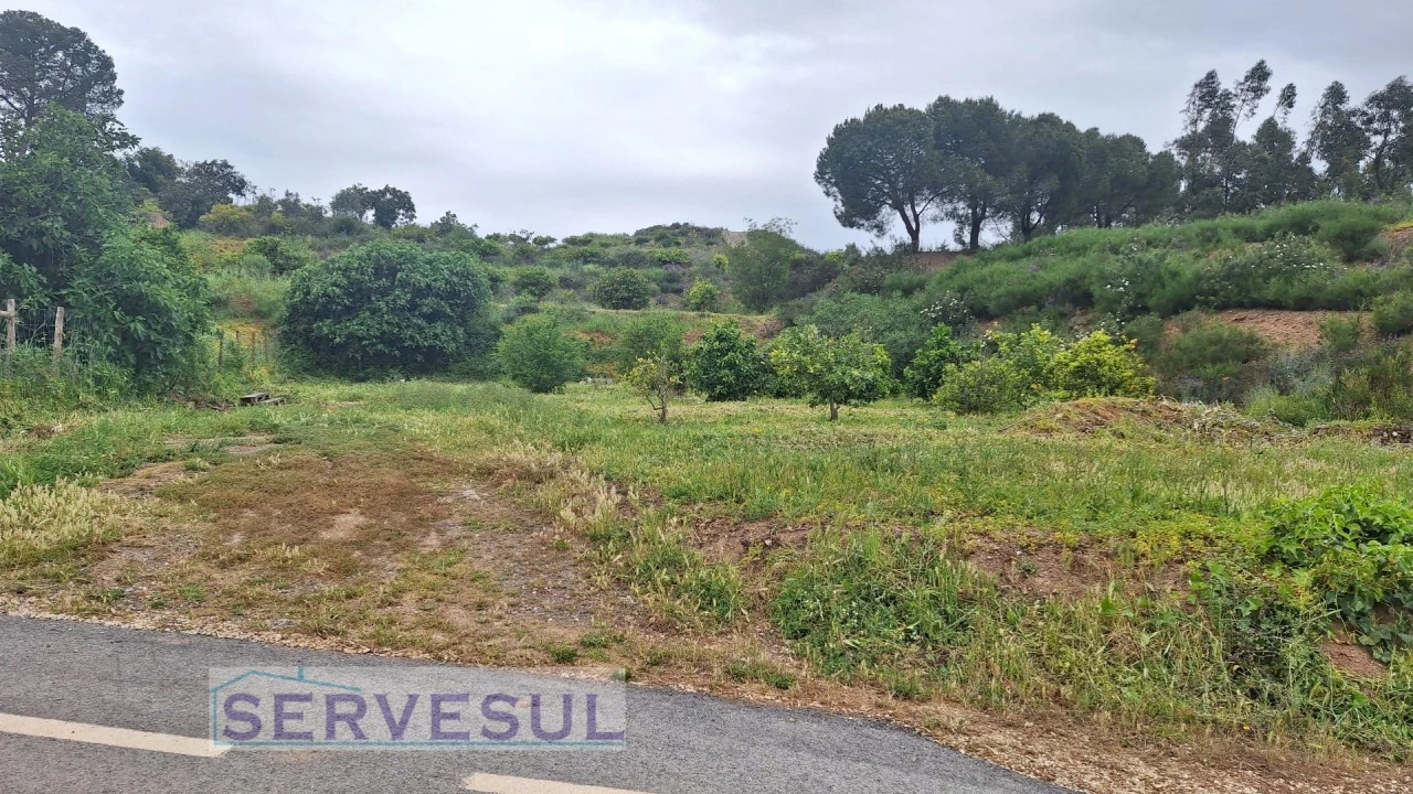 Terreno Agricola ou Rústico para Venda em Silves Foto 3