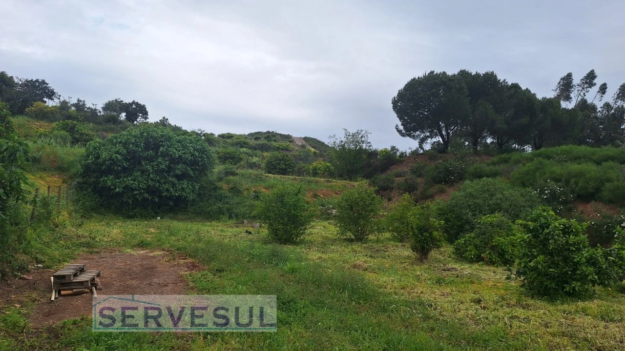 Terreno Agricola ou Rústico para Venda em Silves Foto 4