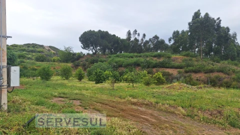 Terreno Agricola ou Rústico para Venda em Silves