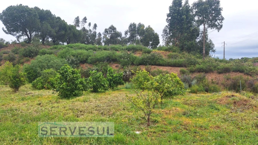 Terreno Agricola ou Rústico para Venda em Silves Foto 2