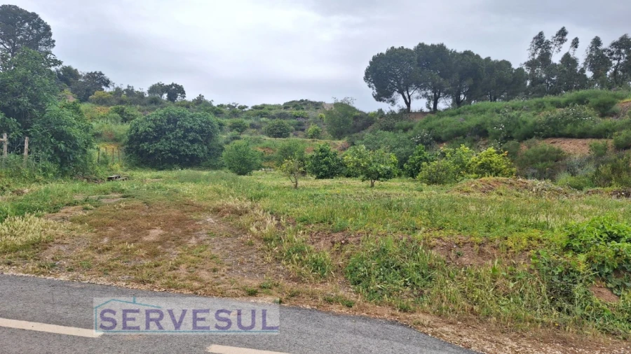 Terreno Agricola ou Rústico para Venda em Silves Foto 3