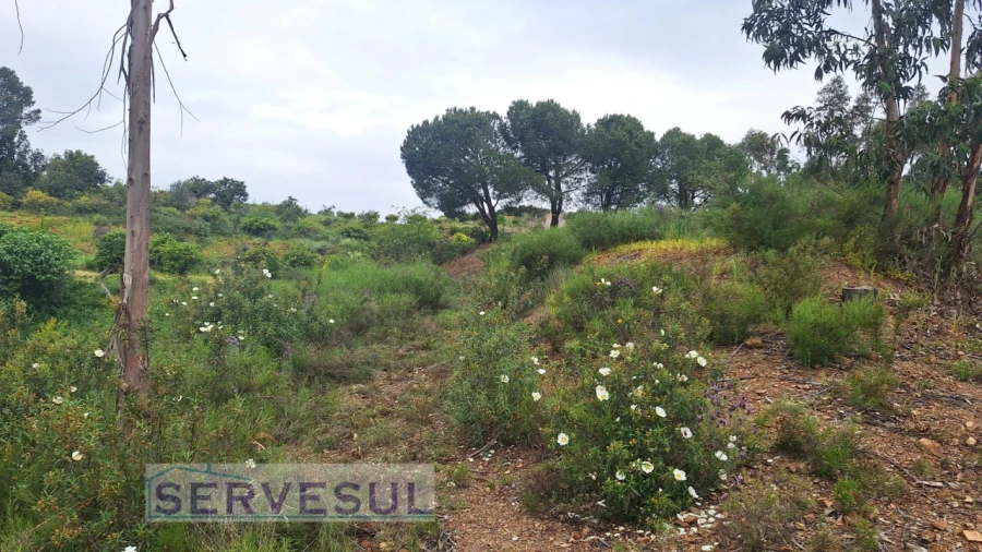 Terreno Agricola ou Rústico para Venda em Silves Foto 6