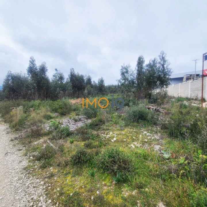 Terreno para Venda em Fatima Foto 2