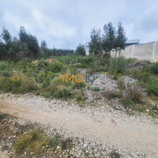 Terreno para Venda em Fatima