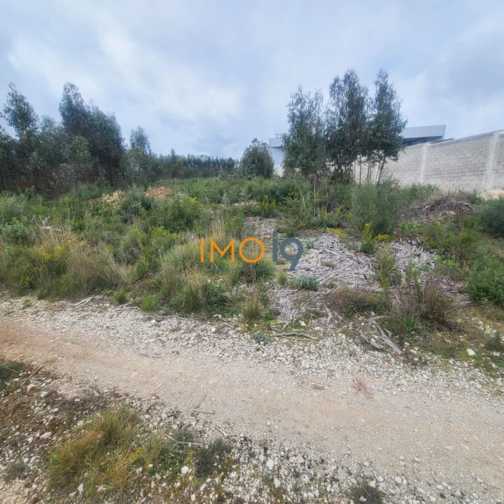 Terreno para Venda em Fatima Foto 1