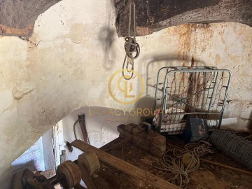 Quinta para Venda em Panoias e Conceição