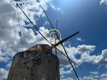 Quinta para Venda em Panoias e Conceição