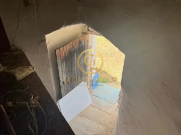Quinta para Venda em Panoias e Conceição