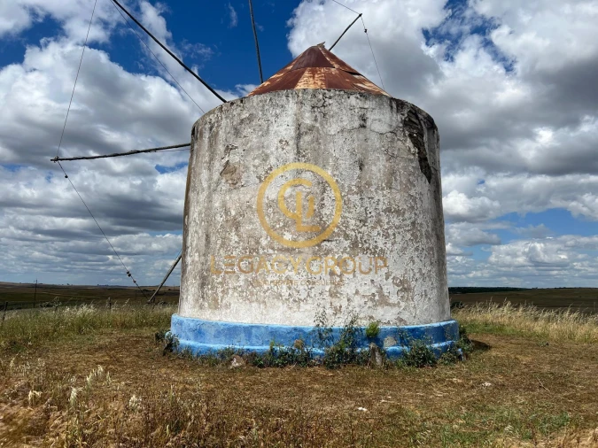 Quinta para Venda em Panoias e Conceição Foto 3