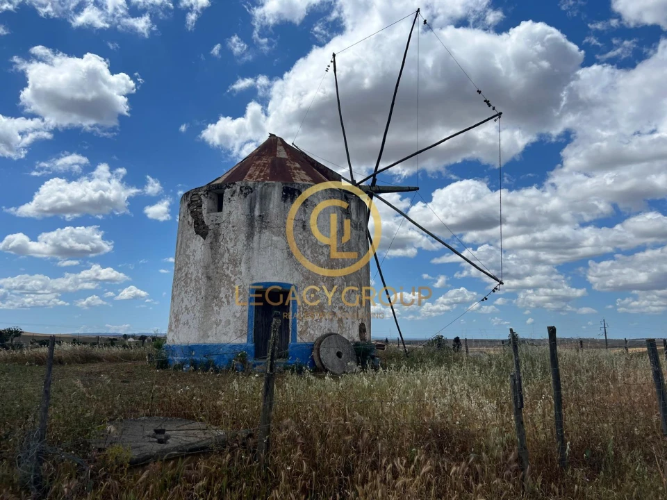 Quinta para Venda em Panoias e Conceição Foto 1