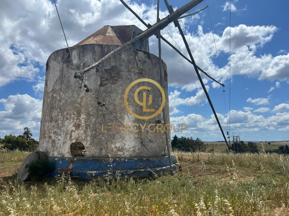 Quinta para Venda em Panoias e Conceição Foto 6