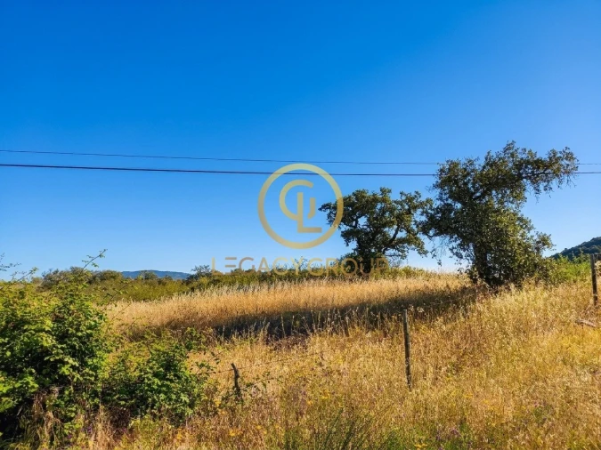 Terreno para Venda em Vaqueiros Foto 16