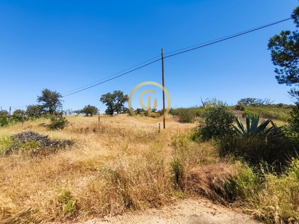 Terreno para Venda em Vaqueiros Foto 13