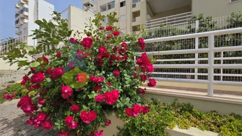 Apartamento T2 para Venda em Armação de Pera