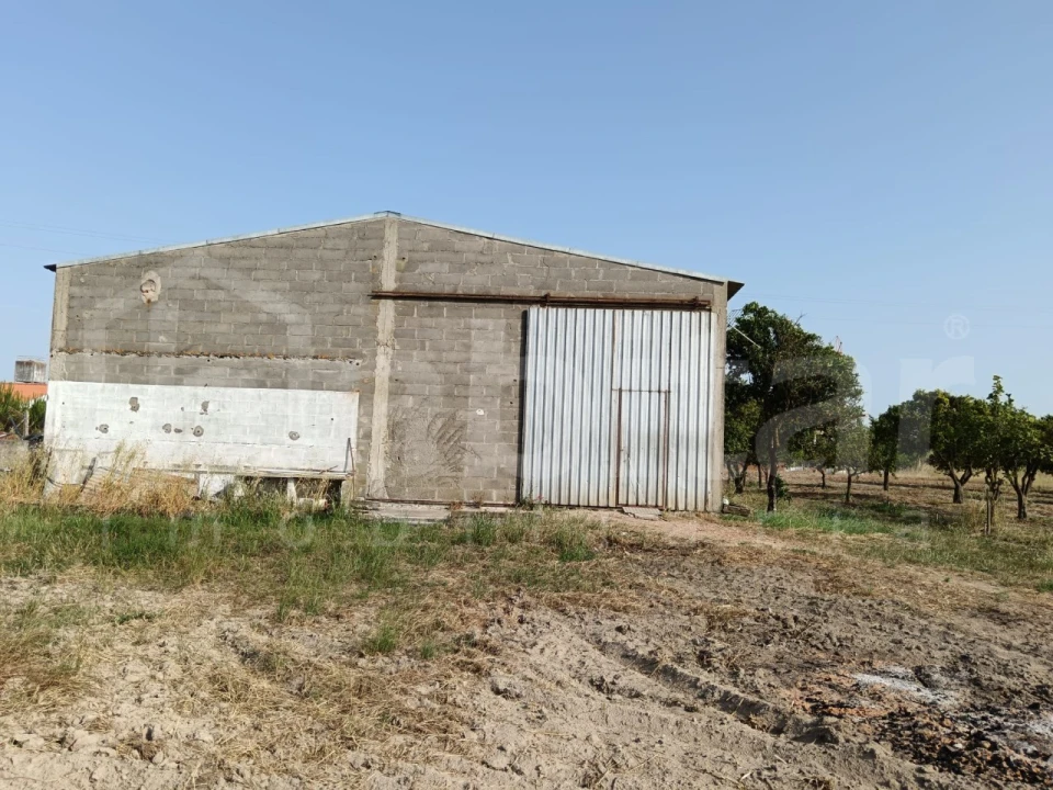 Armazém para Venda em Benavente Foto 1