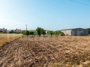 Armazém para Venda em Benavente