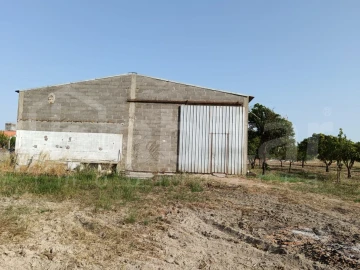Armazém para Venda em Benavente