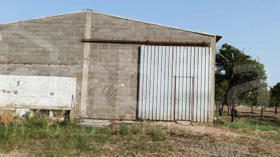 Armazém para Venda em Benavente