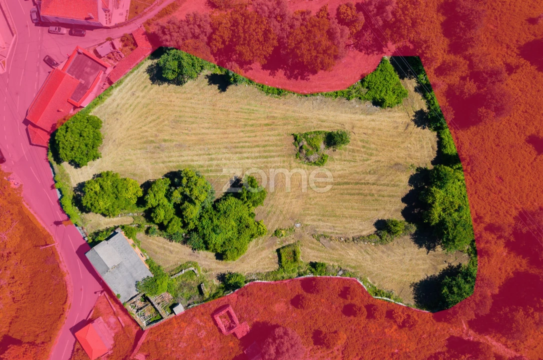 Terreno para Venda em Vila Verde e Barbudo Foto 3