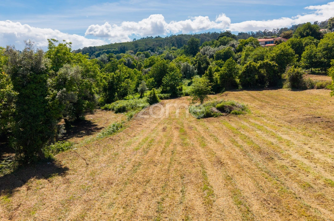 Terreno para Venda em Vila Verde e Barbudo Foto 15
