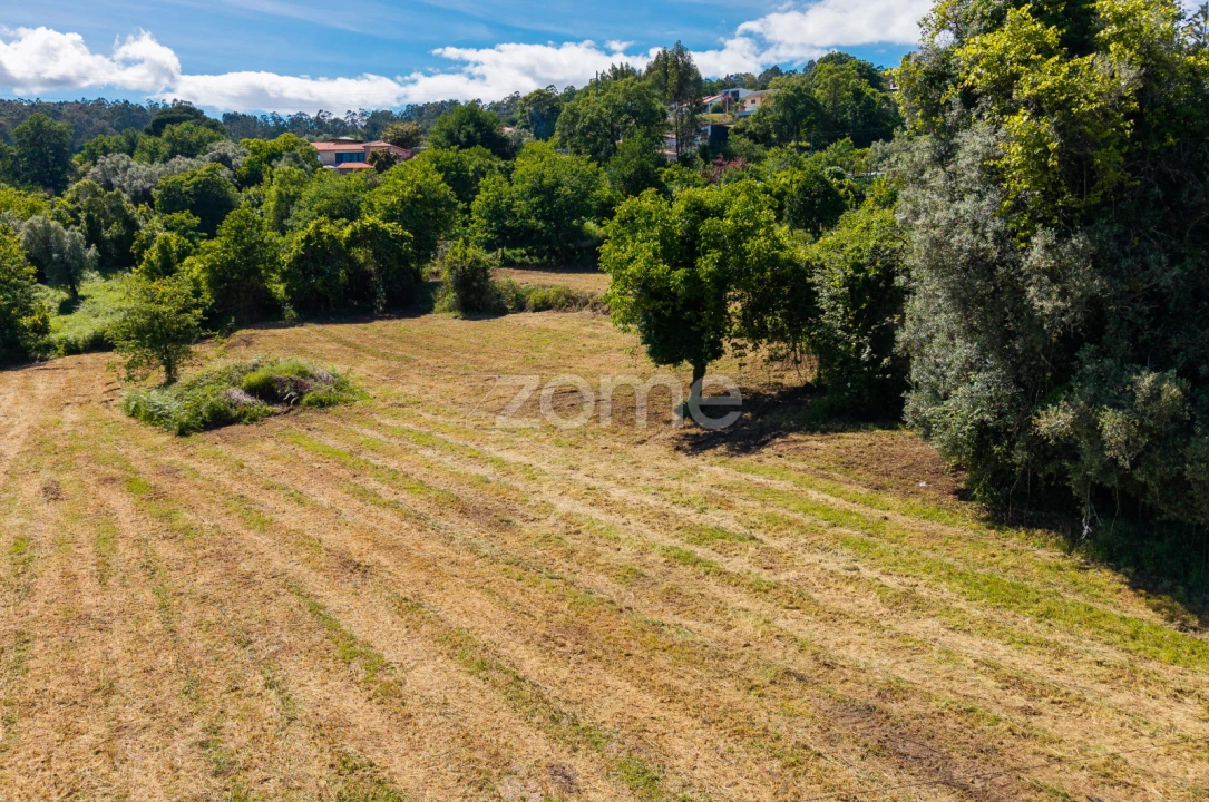 Terreno para Venda em Vila Verde e Barbudo Foto 16