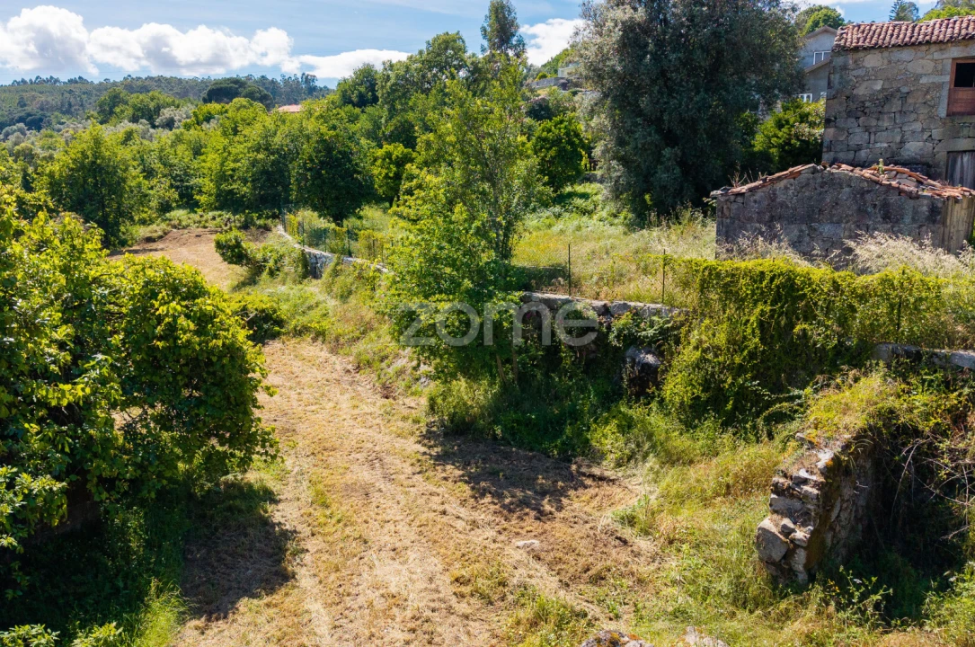 Terreno para Venda em Vila Verde e Barbudo Foto 20