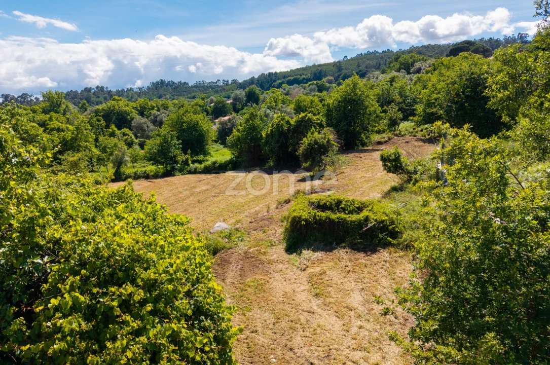 Terreno para Venda em Vila Verde e Barbudo Foto 21