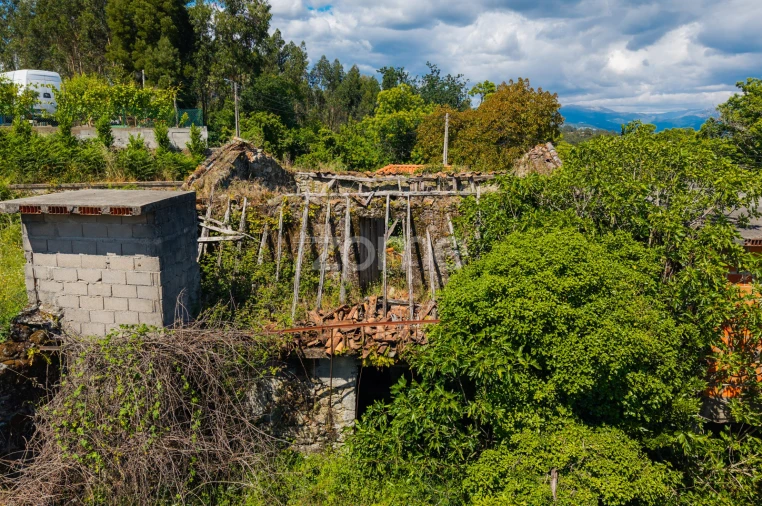 Terreno para Venda em Vila Verde e Barbudo Foto 23