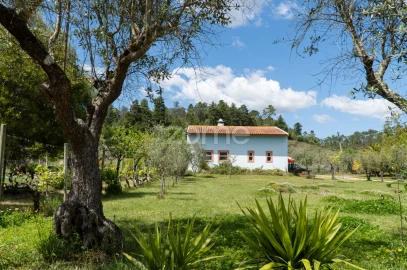 Quinta T8 para Venda em Lamas