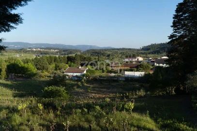 Quinta T8 para Venda em Lamas