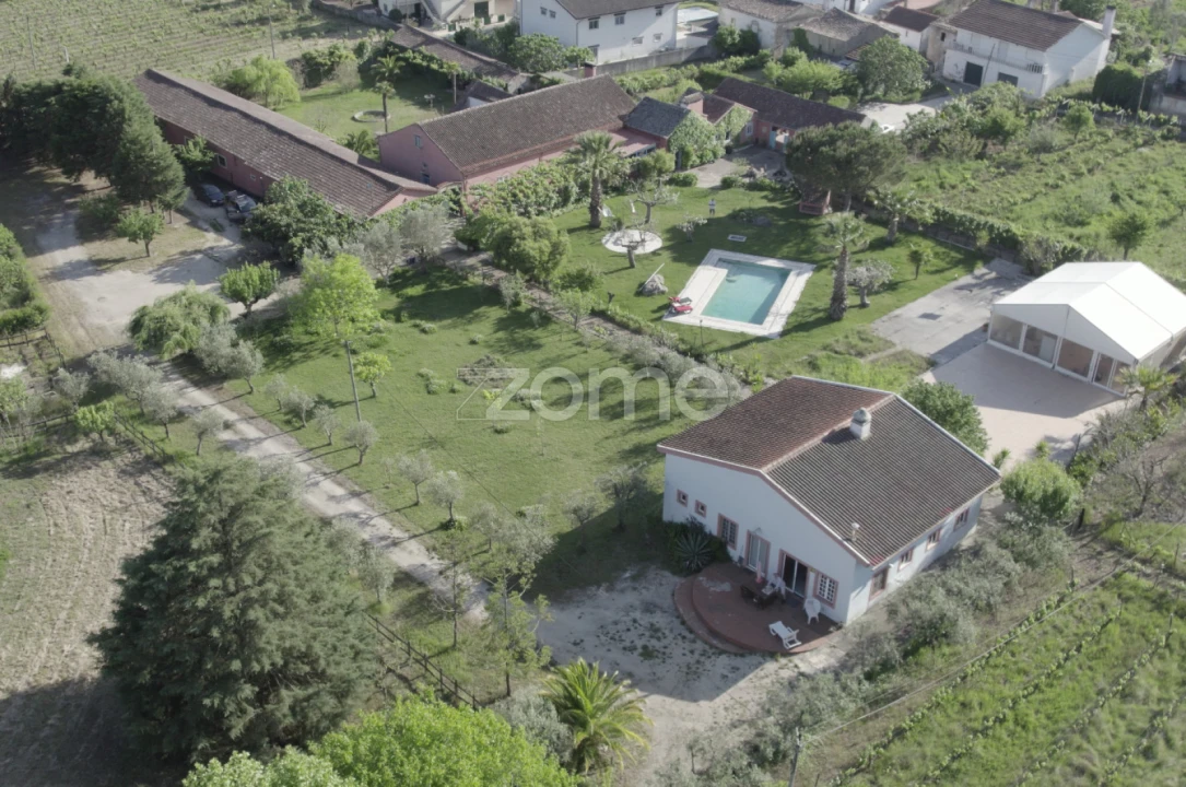 Quinta T8 para Venda em Lamas Foto 49