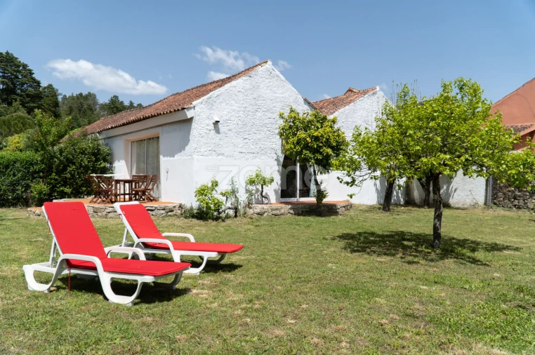 Quinta T8 para Venda em Lamas Foto 21