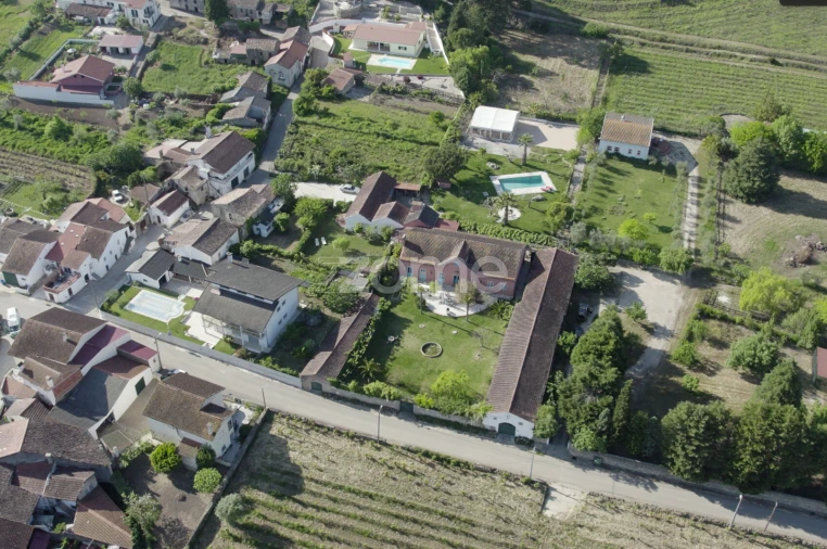 Quinta T8 para Venda em Lamas Foto 41