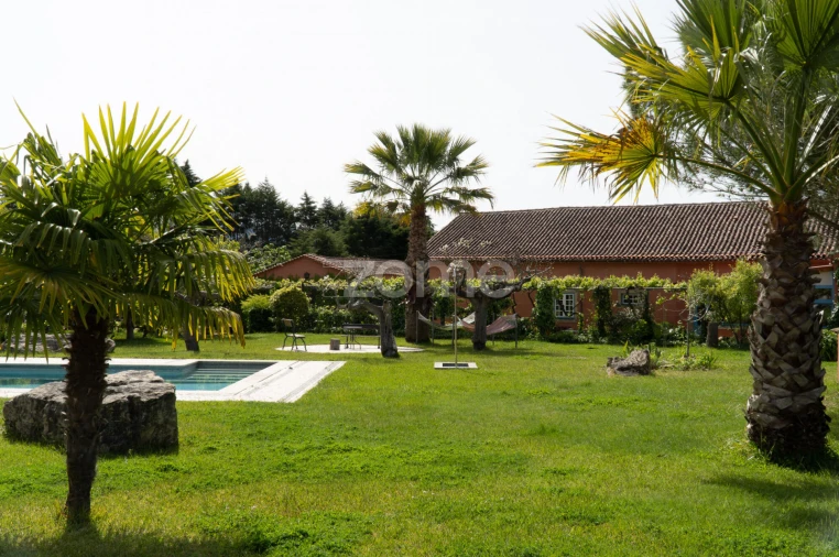 Quinta T8 para Venda em Lamas Foto 45